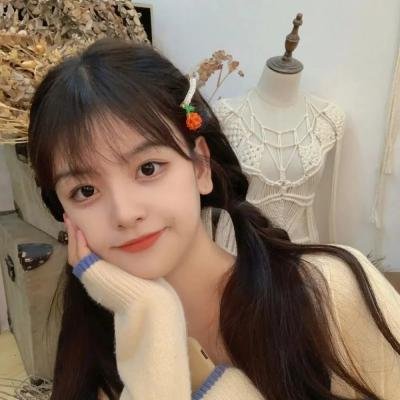 青春环游记第一季 海报