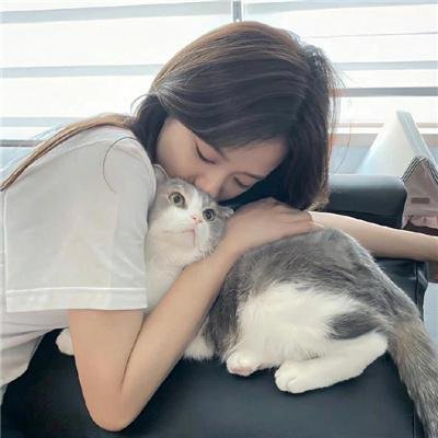 荡妇情花 海报
